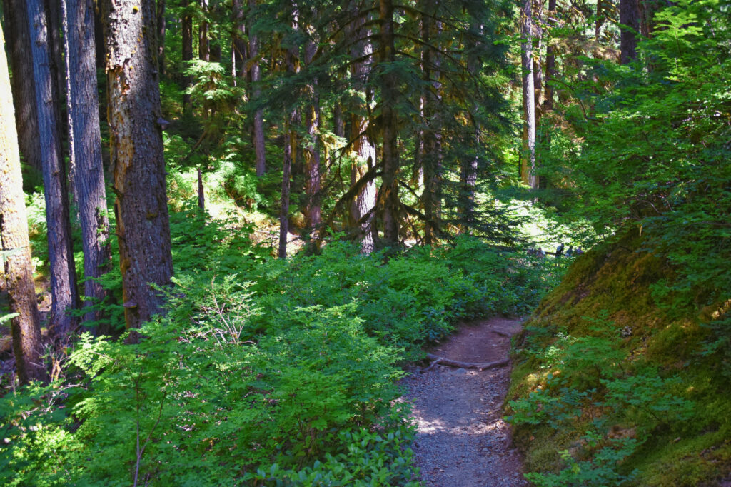 bothell-washington-trails