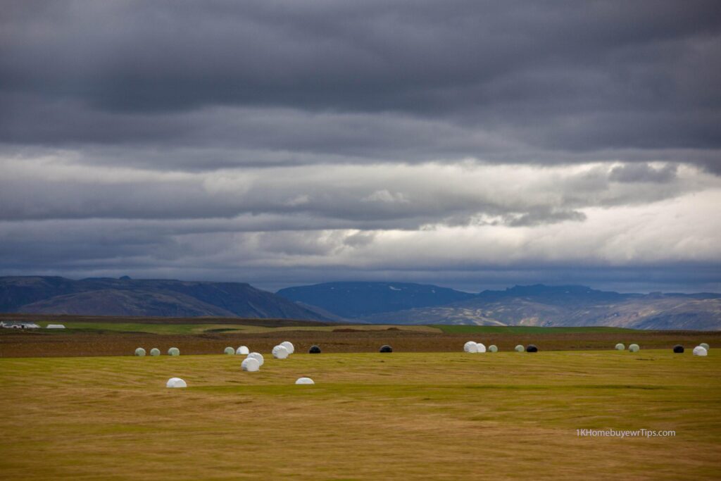 photo of land with sheep, clouds and sky - land appraisals