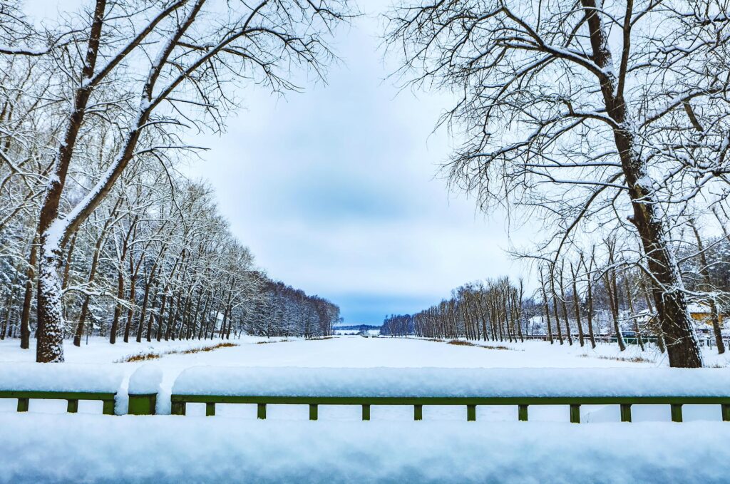 Picture of snow covered landscape and trees